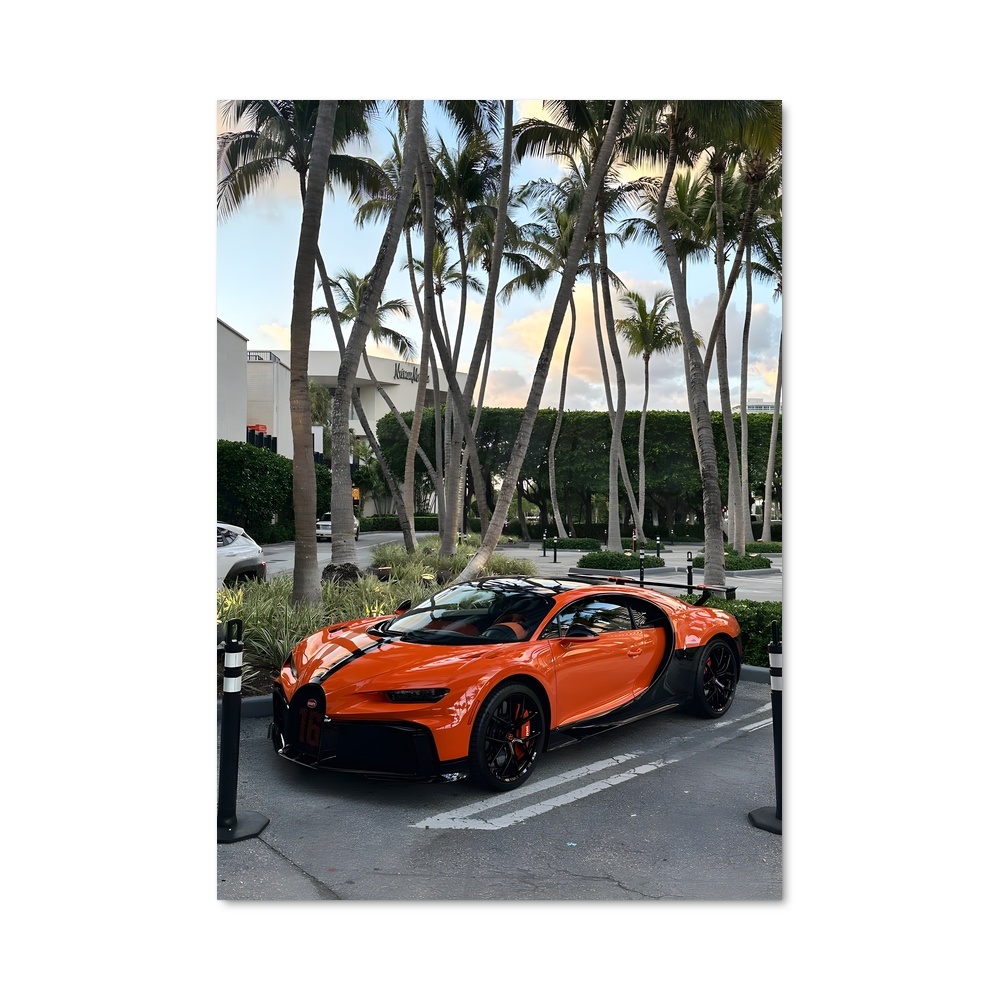 Poster Chiron Palms